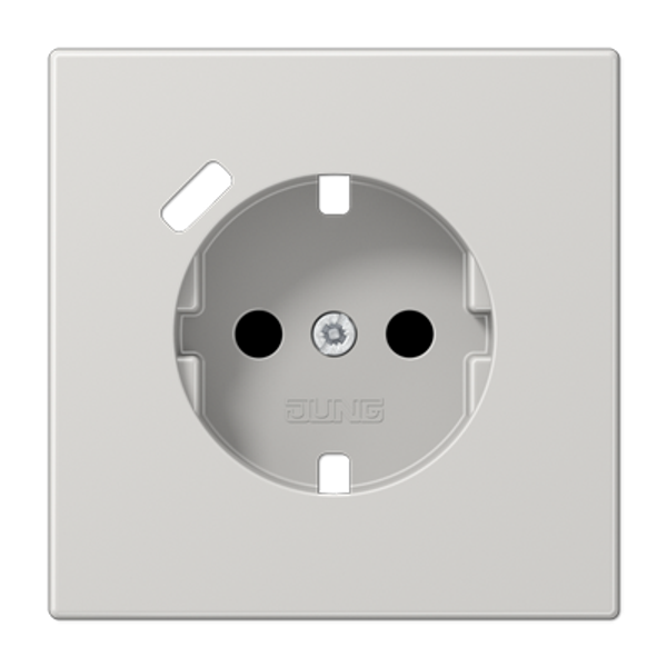 Centre plate SCHUKO® sockets LS1520-18CPLLG image 1