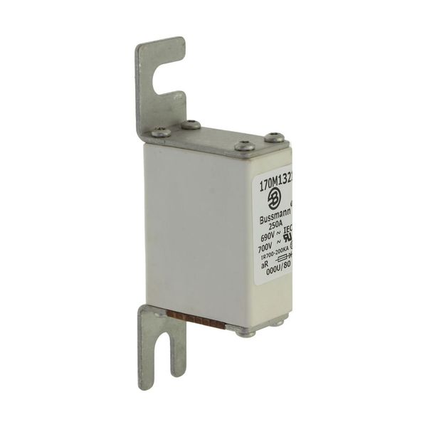 Fuse-link, high speed, 250 A, AC 690 V, DIN 000, 21 x 40 x 100 mm, aR, DIN, IEC image 7