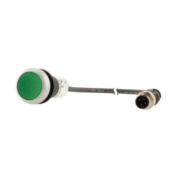 Pushbutton, Flat, momentary, 1 N/O, Cable (black) with M12A plug, 4 pole, 0.2 m, green, Blank, Bezel: titanium image 6