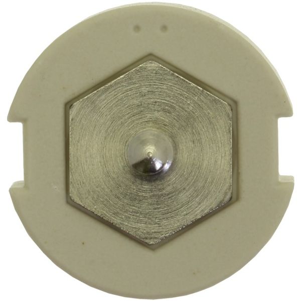 Gauge piece, LV, 50 A, AC 500 V, D3, IEC image 3