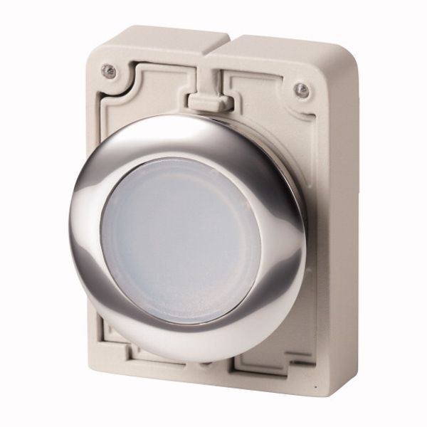 Illuminated pushbutton actuator, RMQ-Titan, Flat, maintained, White, Blank, Metal bezel image 1