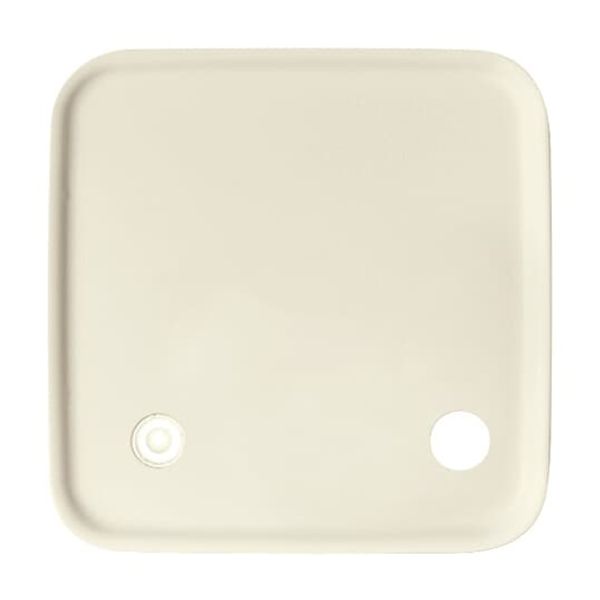 2548-046 A-212 CoverPlates (partly incl. Insert) Data communication White image 3