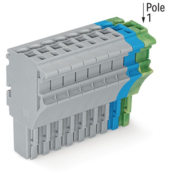 1-conductor female connector Push-in CAGE CLAMP® 4 mm² gray/blue/green image 1