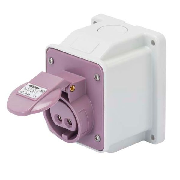 10° ANGLED SURFACE-MOUNTING SOCKET-OUTLET - IP44 - 3P 16A 20-25V 50-60HZ - VIOLET - n.r. - SCREW WIRING image 2