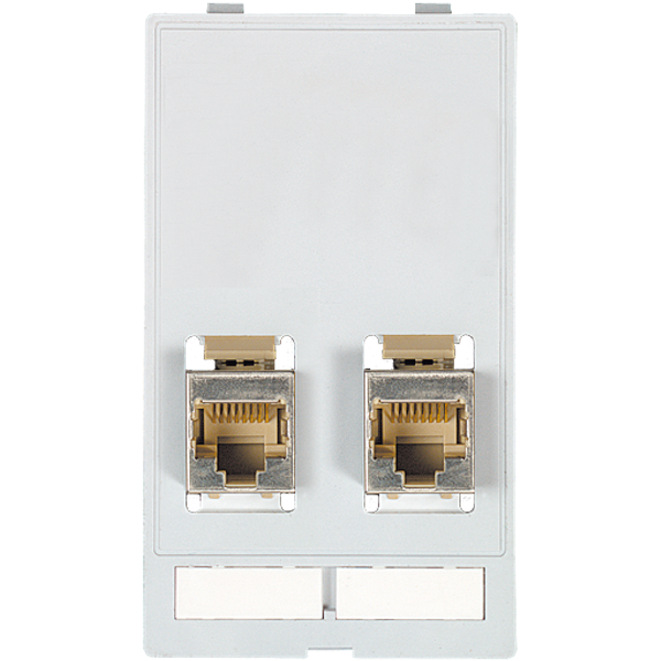 MODLINK MSDD DATA  INSERT 2×RJ45 image 1