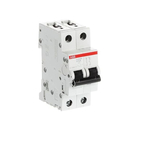 S202M-K6 Miniature Circuit Breaker - 2P - K - 6 A image 4