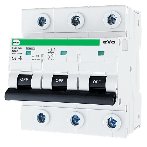 Miniature circuit breaker FB3-125 3P D 100A 10kA EVO image 3