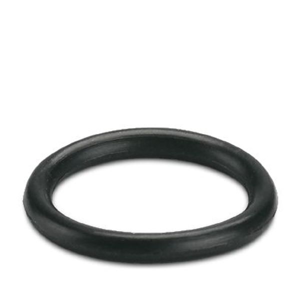 Sealing ring image 1