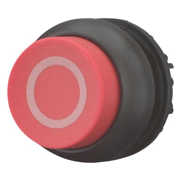 Pushbutton, RMQ-Titan, Extended, momentary, red, inscribed, Bezel: black image 3