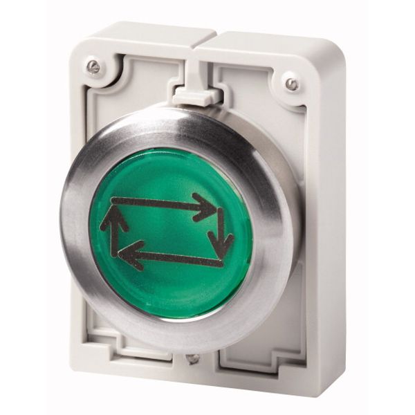 Illuminated pushbutton actuator, RMQ-Titan, Flat, momentary, green, inscribed, Metal bezel image 1