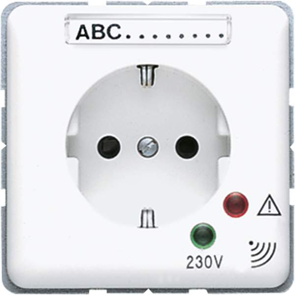 Socket w. Overv.Protection CD521NAUFWW image 1