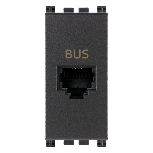 BUS RJ11phone jack grey image 1