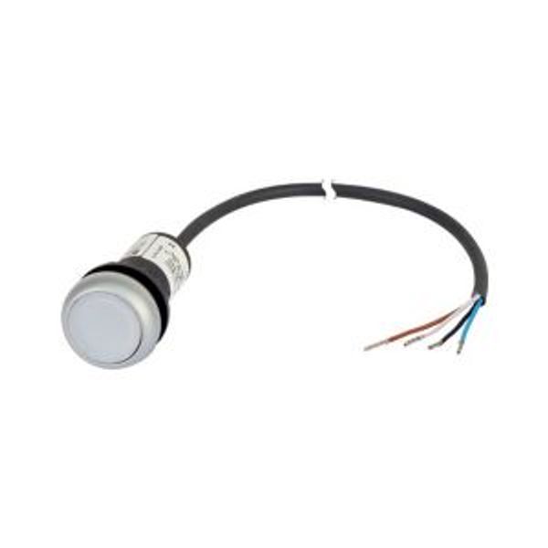 Illuminated pushbutton actuator, Flat, momentary, 1 N/O, Cable (black) with non-terminated end, 4 pole, 3.5 m, LED white, White, Blank, 24 V AC/DC, Be image 2