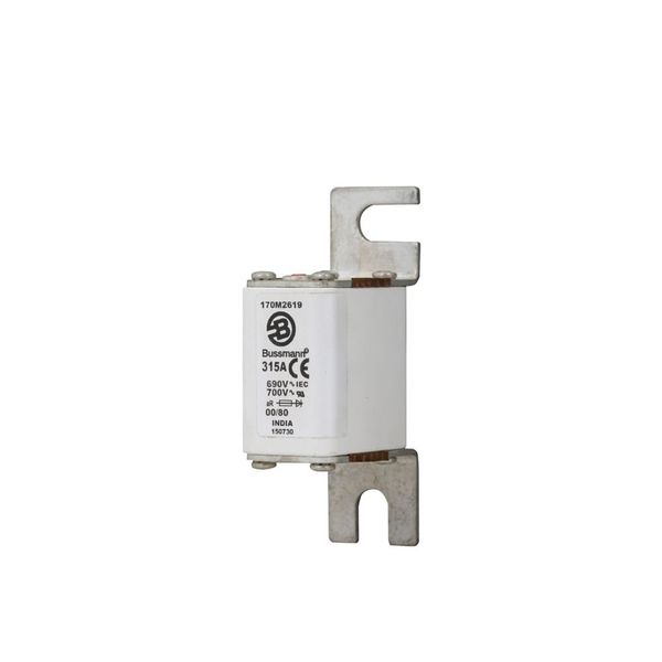 Fuse-link, high speed, 315 A, AC 690 V, DIN 00, 30 x 51 x 100 mm, aR, DIN, IEC, single indicator image 1