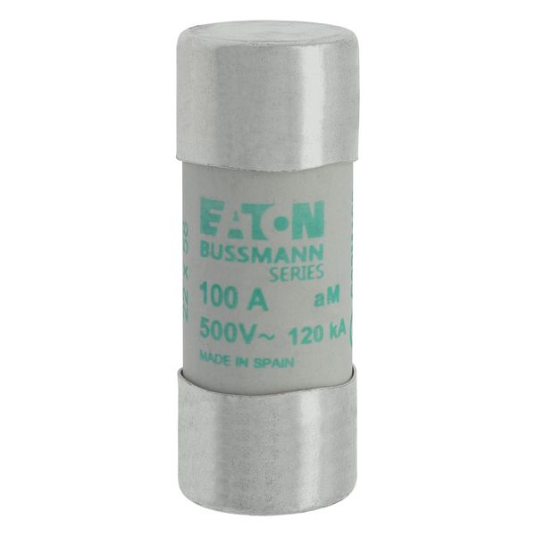 Fuse-link, LV, 100 A, AC 500 V, 22 x 58 mm, aM, IEC image 8