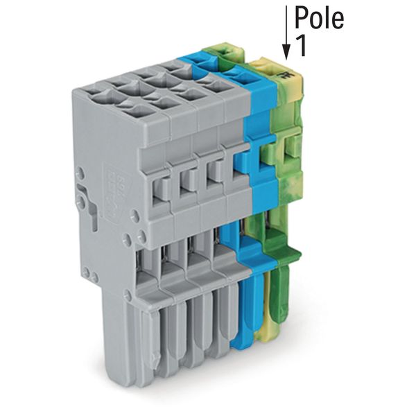 1-conductor female connector CAGE CLAMP® 4 mm² gray/blue/green-yellow image 2