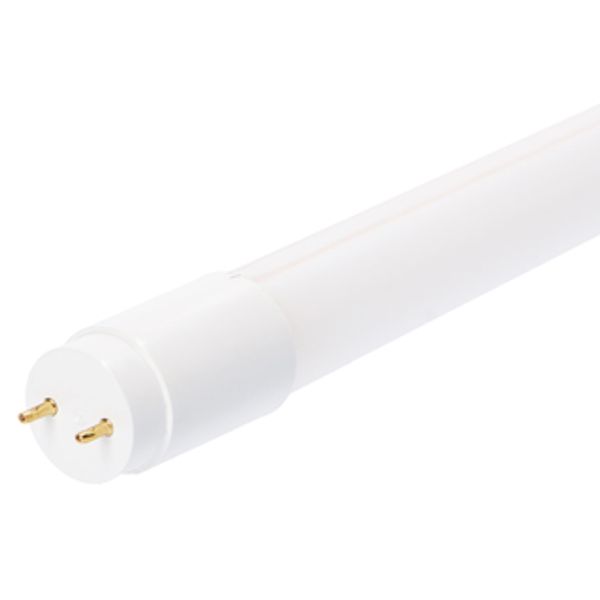 LED TL Tube - T8 60cm G13 7.5W 1125lm 4000K 220° image 1