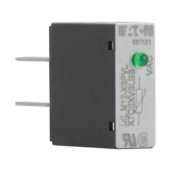 Varistor suppressor circuit, +LED, 24 - 48 AC V, For use with: DILM7 - DILM15, DILMP20, DILA image 14