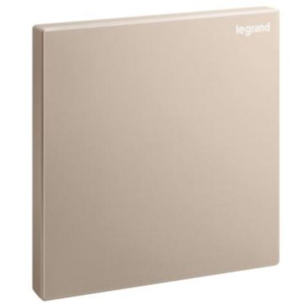 Galion - 1 gang blanking plate - Rose Gold image 1