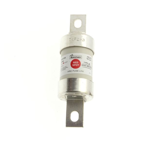 Fuse-link, LV, 315 A, AC 660 V, DC 460 V, BS88/B3, 53 x 137 mm, gL/gG, BS image 2