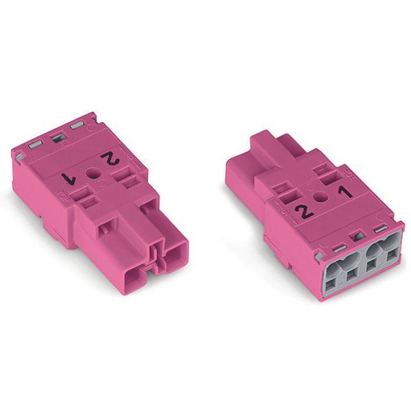 Plug 2-pole Cod. B pink image 4