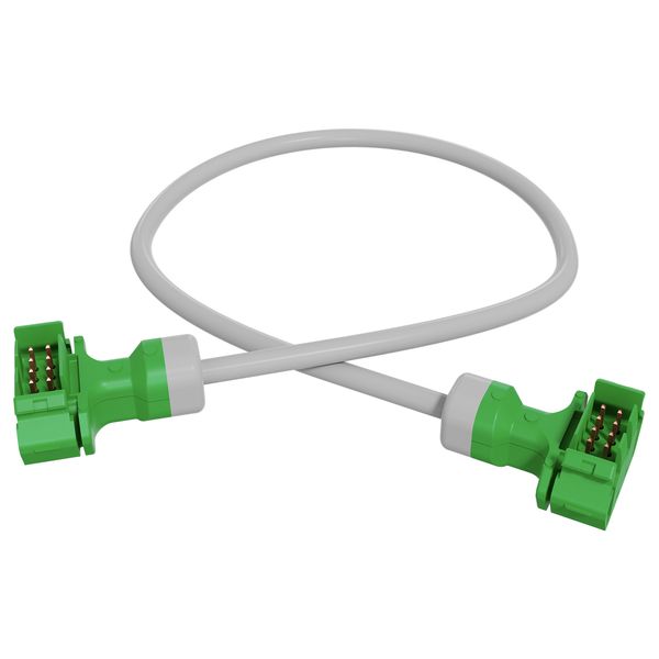 SpaceLogic KNX Cable Link 0.3m Short image 1