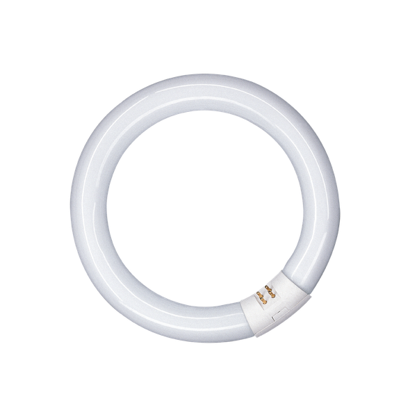 Circular Fluorescent Tube G10q 22W/827 T9 D210 PATRON image 1