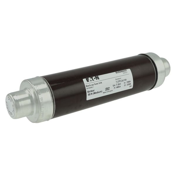 Fuse-link, medium voltage, 100 A, AC 7.2 kV, 3", 76 x 292 mm, back-up, DIN, with striker image 13