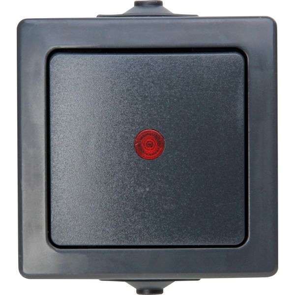 Control switch, NAUTIC, colour: anthraci image 1
