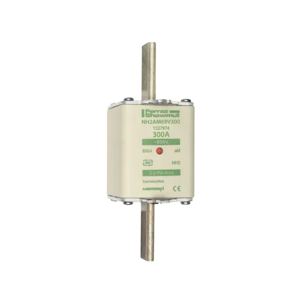 Fuse-link NH2 aM 690VAC 300A live tags Double indicator image 2