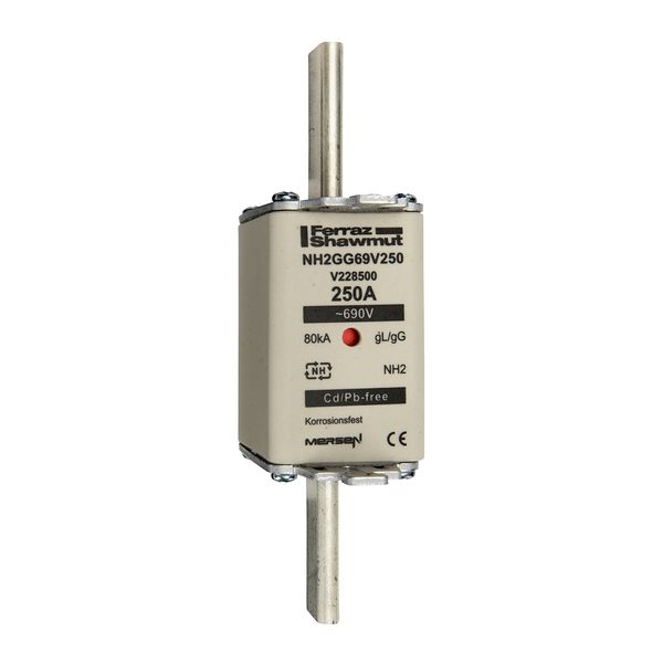 Fuse-link NH2 gG 690VAC 250A live tags Double indicator image 1