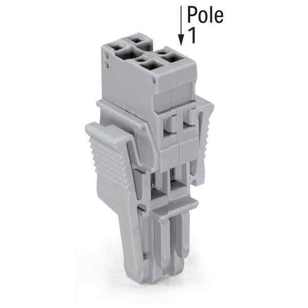 1-conductor female connector CAGE CLAMP® 4 mm² gray image 2