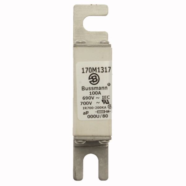 Fuse-link, high speed, 100 A, AC 690 V, DIN 000, 21 x 40 x 100 mm, aR, DIN, IEC image 2