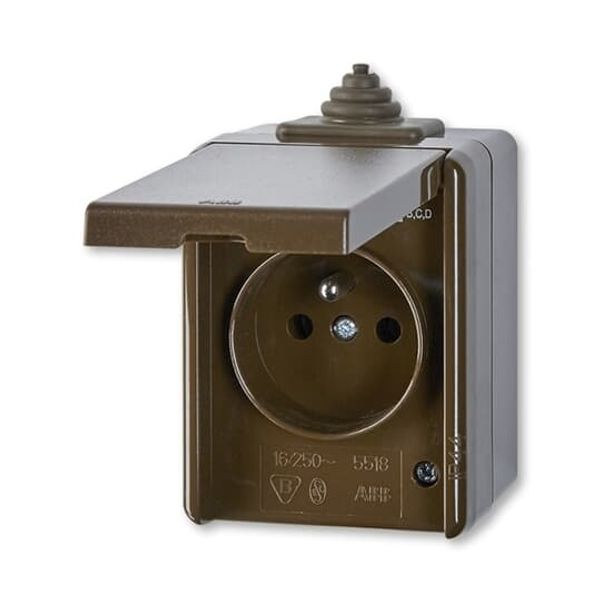 5598-2929H Socket outlet with earthing pin, with hinged lid, with surge protection image 1