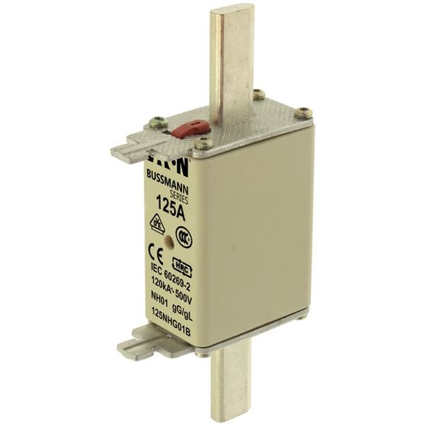 Fuse-link, LV, 100 A, AC 500 V, NH01, gL/gG, IEC, dual indicator, live gripping lugs image 4
