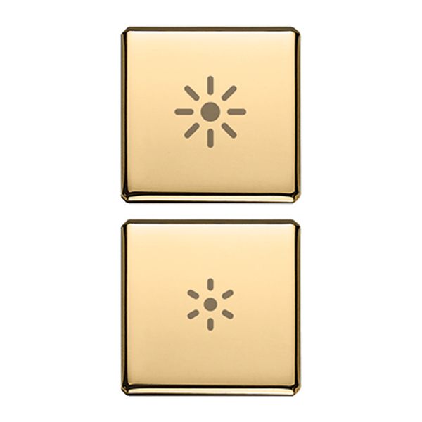 2 buttons Flat regulation symbol gold image 1