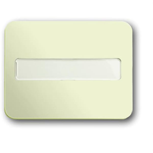 1764 NLI-22G CoverPlates (partly incl. Insert) carat® ivory image 1