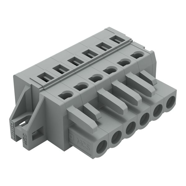 1-conductor female connector CAGE CLAMP® 2.5 mm² gray image 3