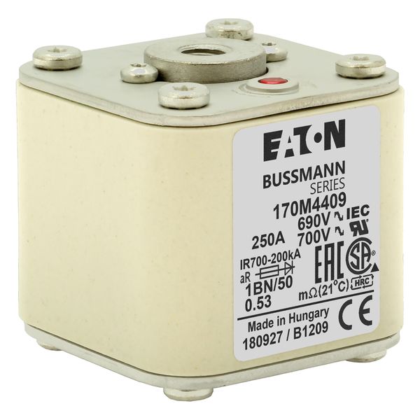 Fuse-link, high speed, 250 A, AC 690 V, size 1, 53 x 69 x 51 mm, aR, IEC, UL, single indicator, flush end, M8 image 16