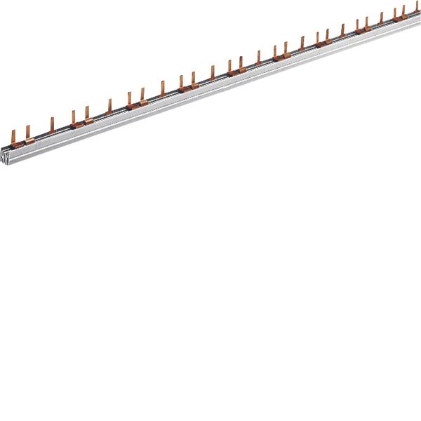 Insulated busbar 3P prong 10mm² 39M image 1