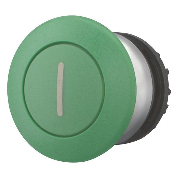 Mushroom actuator, RMQ-Titan, Mushroom, momentary, Mushroom green, green, inscribed, Bezel: titanium image 6