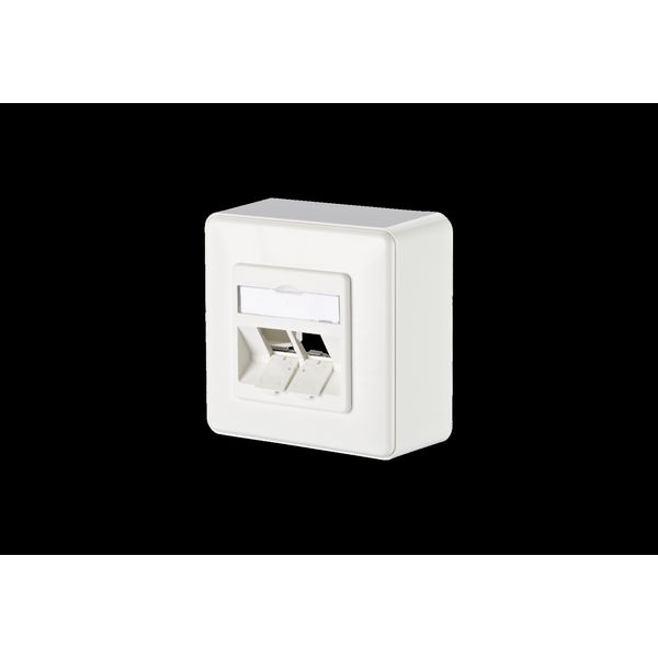 Modul wall outlet surface mounted 2 port unequipped pure white image 2