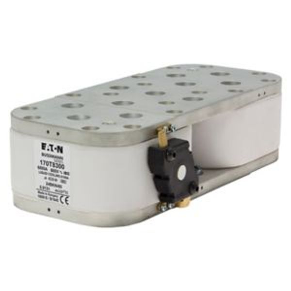 Fuse-link, high speed, 6000 A, AC 600 V, 2 x size 4, 120 x 230 x 64 mm, aR, IEC, single indicator image 2