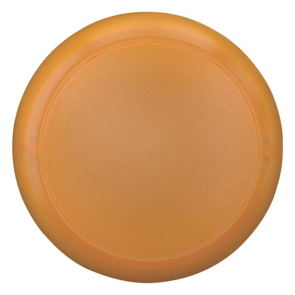 Indicator light, RMQ-Titan, Flat, orange image 10