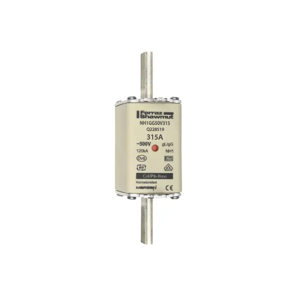 Fuse-link NH1 gG 500VAC 315A live tags Double indicator image 1