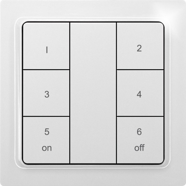 Wireless 6-way pushbutton as keypad, laser engraved, in E-Design55, polar white mat image 1