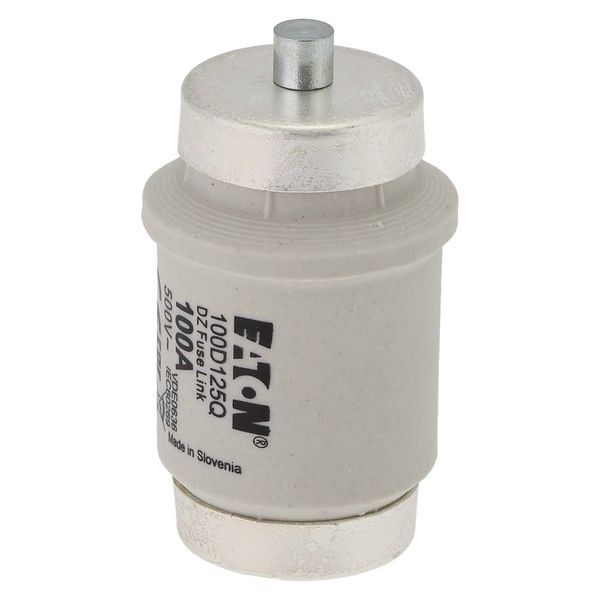 Fuse-link, LV, 100 A, AC 500 V, D4, gR, IEC, fast acting image 7