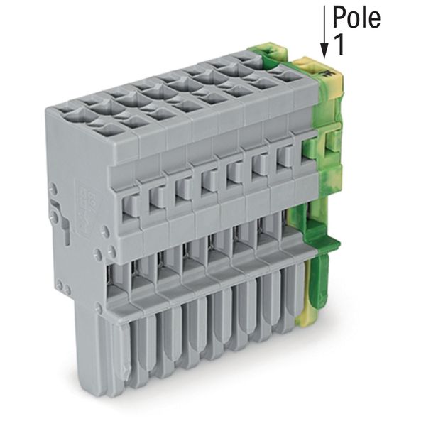 1-conductor female connector CAGE CLAMP® 4 mm² green-yellow/gray image 2