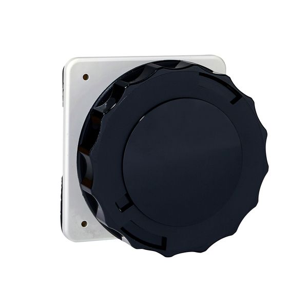 PratiKa socket - screw - straight - 16A - 3P + N + E - 480...500 V AC - panel image 1