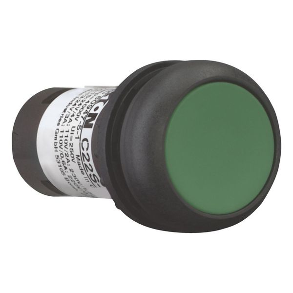 Pushbutton, Flat, maintained, 1 NC, 1 N/O, Screw connection, green, Blank, Bezel: black image 12